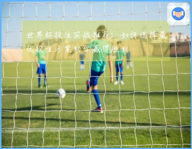 世界杯投注实战推荐：如何选择最优投注方案助你赢得胜利