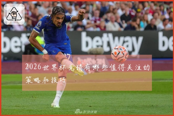2026世界杯竞猜有哪些值得关注的策略和技巧